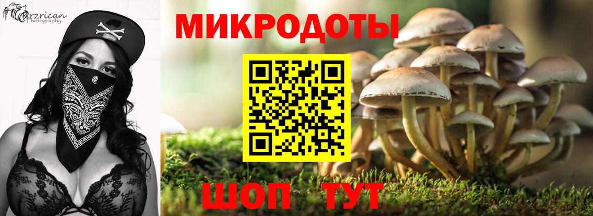 Галлюциногенные грибы Cubensis Черкесск